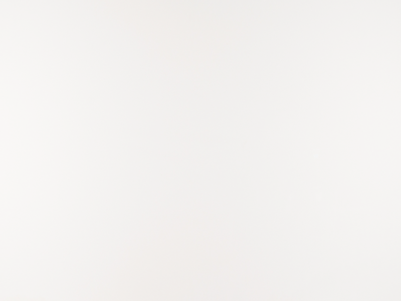 Pure White / Arctic White